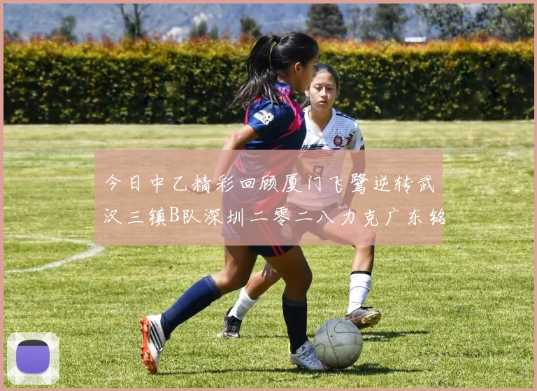 今日中乙精彩回顾厦门飞鹭逆转武汉三镇B队深圳二零二八力克广东铭途