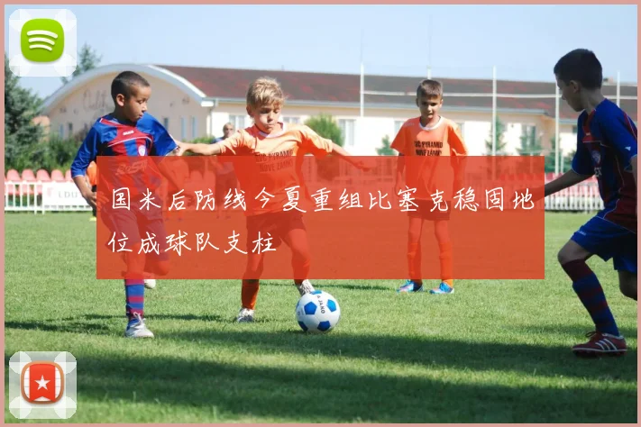 国米后防线今夏重组比塞克稳固地位成球队支柱