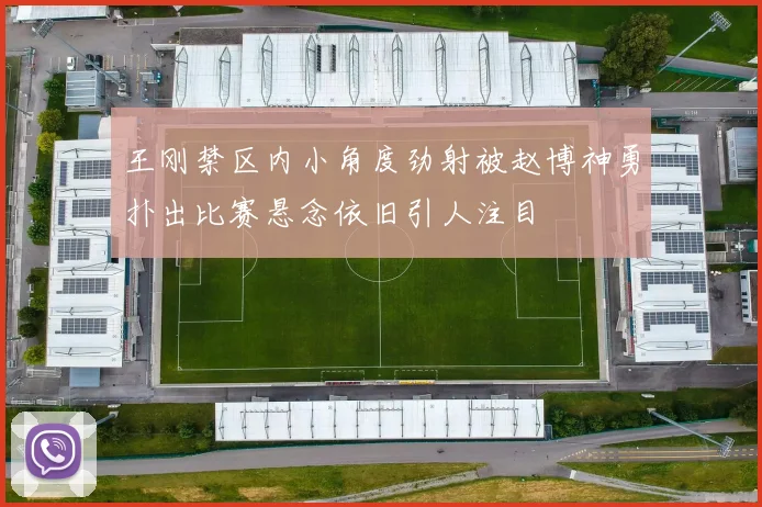王刚禁区内小角度劲射被赵博神勇扑出比赛悬念依旧引人注目