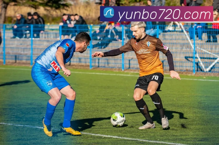 多媒体互动体验